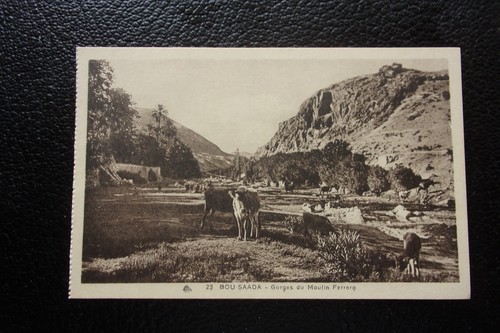 Algerie carte postale - carte,