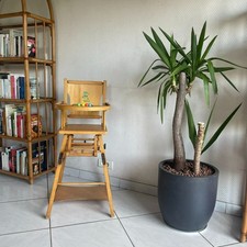 Chaise haute transformable en