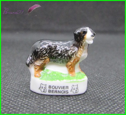 Feve les races chien - feve, dog