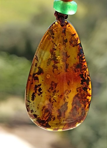 Pendentif ambre baltique - pendentif, de