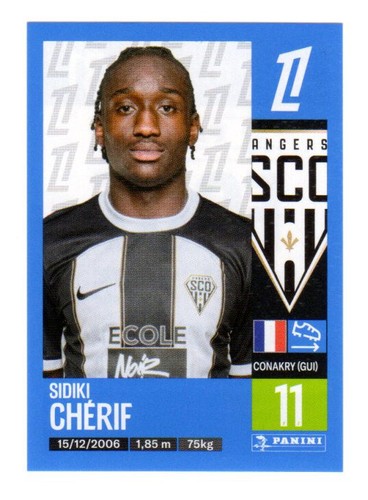 Sticker panini foot - sticker, 2024-2025