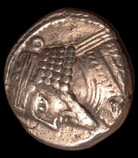 Tetradrachme