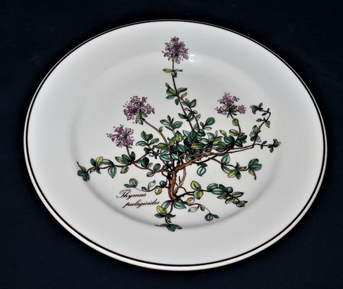 Villeroy boch botanica - villeroy,