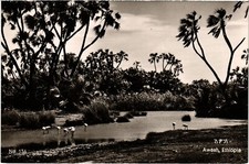 PC ETHIOPIA AWASH LANDSCAPE (a53381)