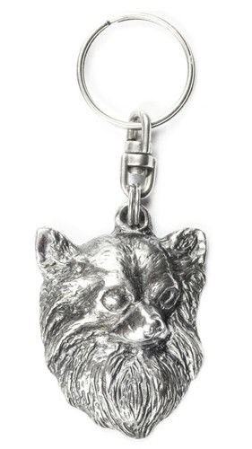 Chihuahua cheveux longs - cheveux,