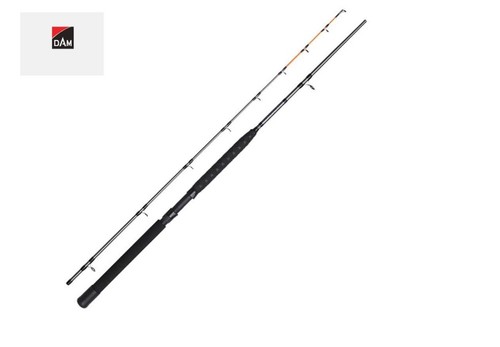 Canne pesca dam salmonizer - de,