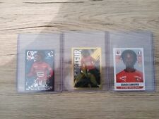 3 STICKERS PANINI  FOOT