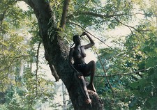 Photo originale lumière - originale, la