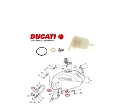 Ducati Monster 400 600 750 900