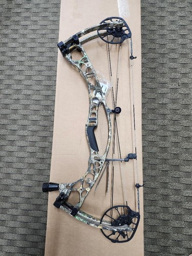 Hoyt alpha realtree - hoyt,
