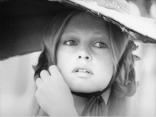 Brigitte bardot photo - bardot, still