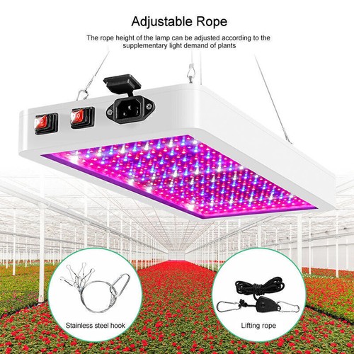 Lampe culture led 3000 - culture, w