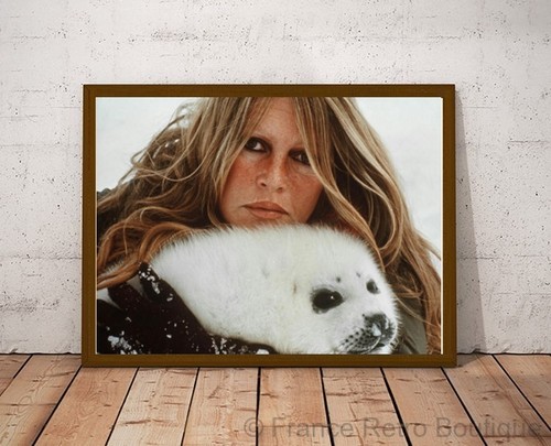 Affiche brigitte bardot - brigitte,