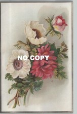 Chromo AU TAPIS ROUGE - fleurs