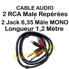1 Câble 2 Jack 6,35 MONO Mâle vers 2 RCA Mâle Repérées par Couleur  Long 1,20M