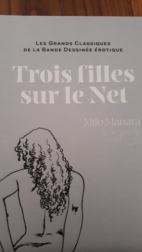 Bandes dessinées pour adulte