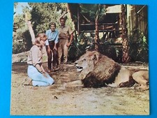 MARSHALL THOMPSON : DAKTARI