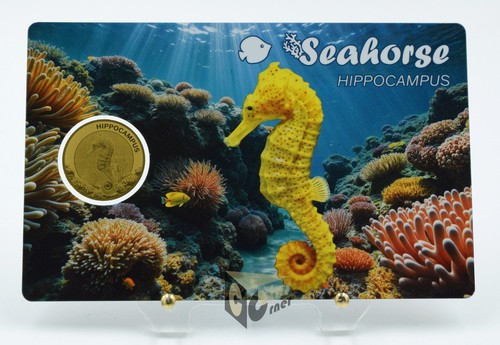 Seahorse 1000 999 gold - seahorse,