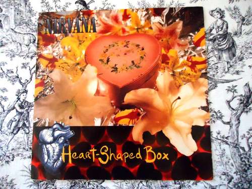 Nirvana heart shaped box - nirvana, heart-shaped
