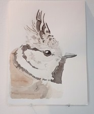Mésange huppée AQUARELLE ORIGINALE Portrait d'oiseau Mangeoire Jardin Home Decor