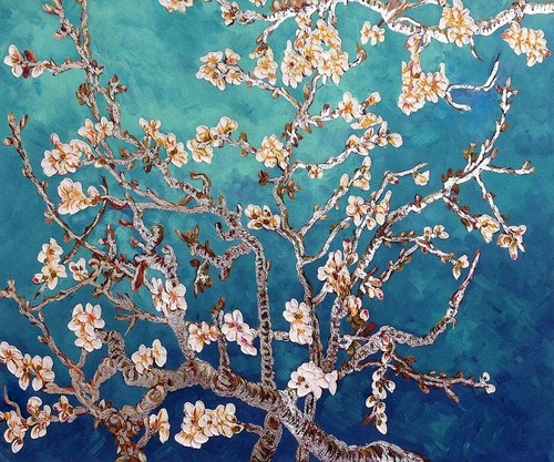 Amandier fleurs apres van - d'apres,