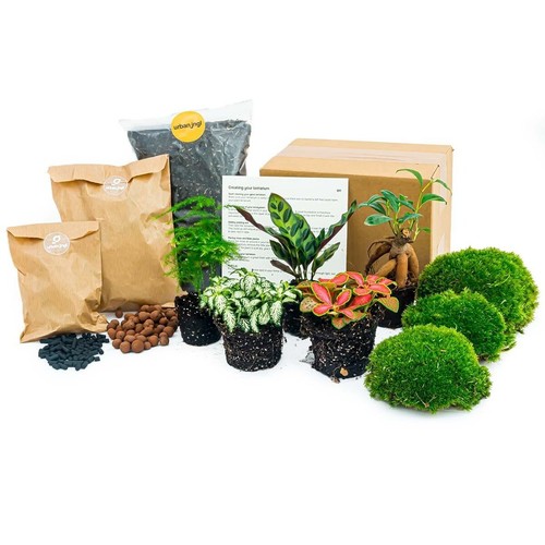 Ensemble terrarium pour - terrarium,