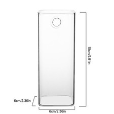 1 Modern Hanging Glass Vase