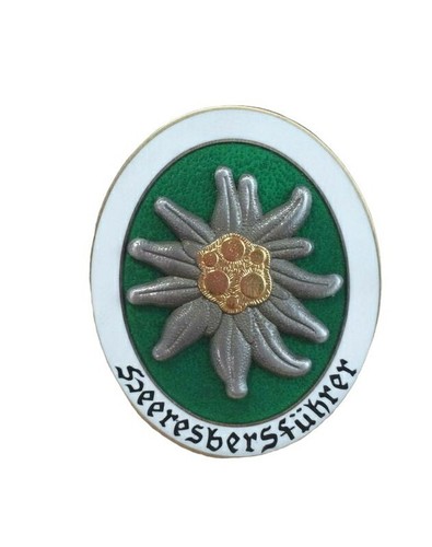 Insigne heeresbergführer - insigne,