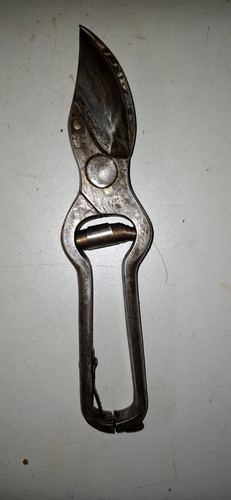 Secateur ancien de - ,
