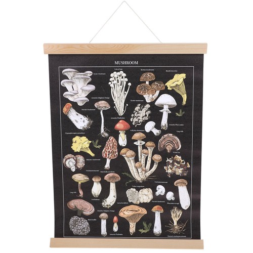 Posters muraux affiche - ,