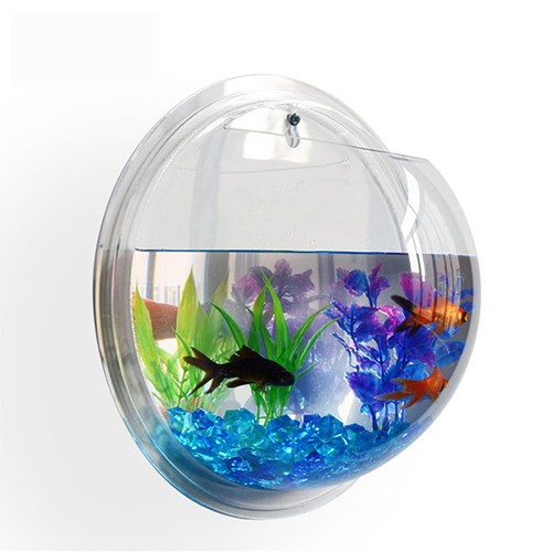 Neuf mural fixation aquarium - neuf,