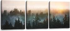 Forest Bathed in Sunlight Canvas Print Picture Painting Wall Art for Bedroom Liv