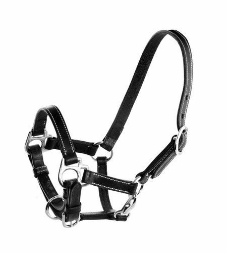 Cavezza cuir pour - cavezza, en