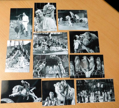 Lot photos cirque lire - photos,