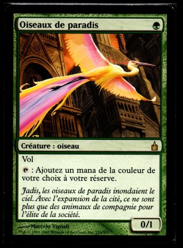 Mrm oiseaux de - oiseaux, paradis