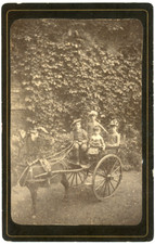 France, enfants dans une calèche à poney, ca.1890, vintage albumen print vintage