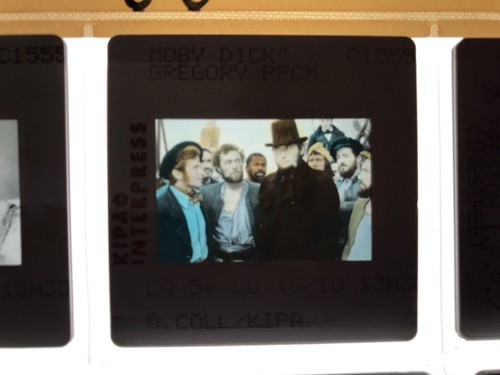 Moby dick gregory peck - -,