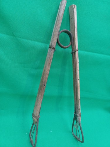 Pince chataigne dite - pince,