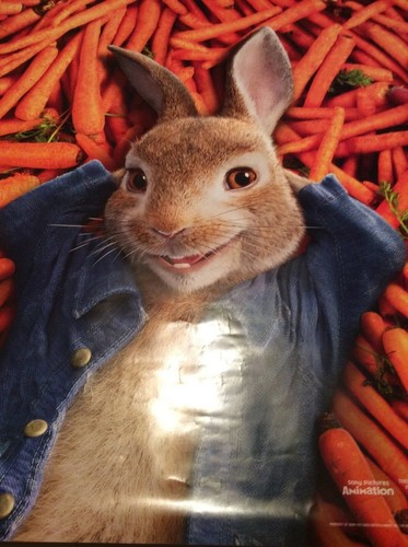 Peter rabbit movie poster - poster, |