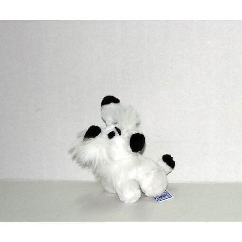 Idefix chien dans - le, asterix