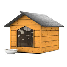 Chenil Extérieur Pin Maison