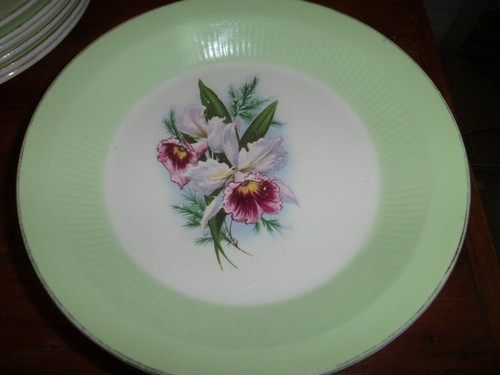 Assiettes creuse faïence - assiettes,