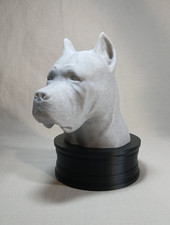 Cane Corso Display Piece/