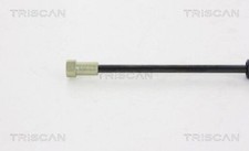 VéRIN DE COFFRE / HAYON