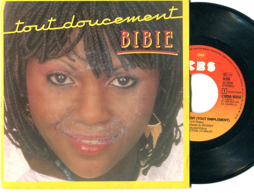 Disque vinyl tours - disque, bibie