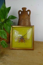 Cadre en Verre Bombé avec