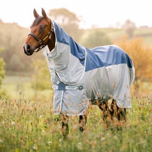 Horseware amigo ameco - horseware,