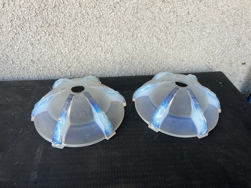 Paire vasques tulipes verre - paire,