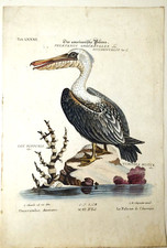 gravure ancienne - papier