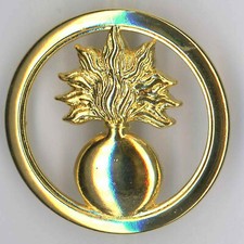 Ecoles Militaires Insigne de